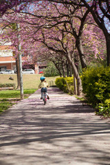 Fototapeta na wymiar Little girl with her bike in the city