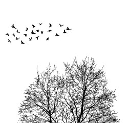 Silhouette flying birds on wood background vector illustration