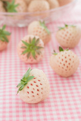 Obraz na płótnie Canvas Pineberries or Hula Berry a hybrid strawberry with a pineapple flavor white flesh and red seeds