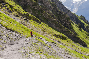 Grindelwald, First, Berner Oberland, Wanderweg, Wanderer, Waldspitz, Alm, Alpen, Schweizer Berge,...