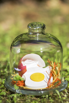 Oeuf de P&acirc;ques... Oooops !