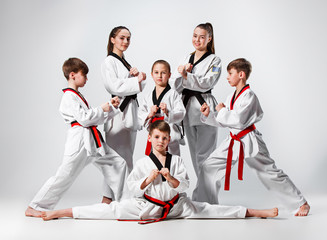 Fototapeta na wymiar The studio shot of group of kids training karate martial arts