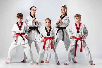 Fotobehang The studio shot of group of kids training karate martial arts © master1305