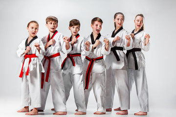 The studio shot of group of kids training karate martial arts