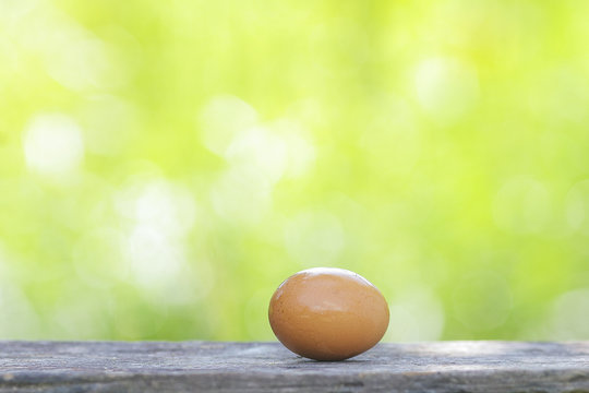 Egg on wooden table with shallow DOF green background.