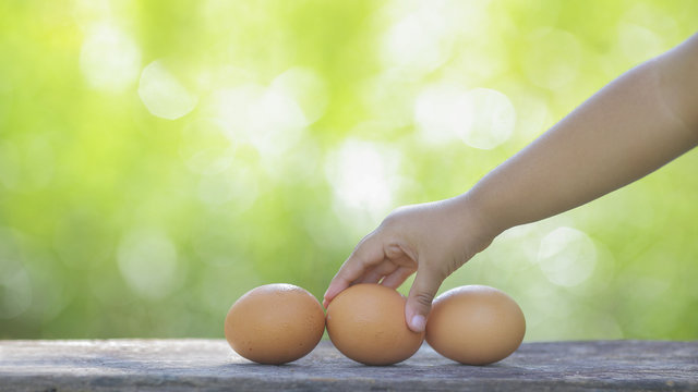 Kids holding a Egg on wooden table with shallow DOF green background.