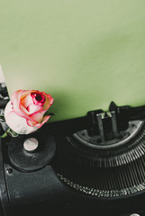 fresh red rose on vintage typewriter with blank page, retro toned