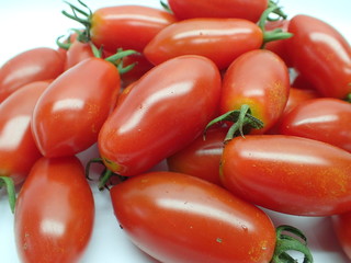 minitomatoティンカーベル005