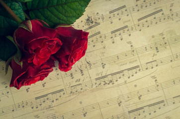 Red roses with musical notes