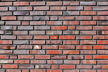 Fototapety  Brick wall with grey and red bricks (background, texture)