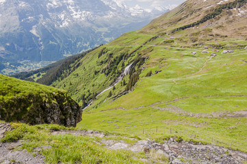 Grindelwald, Berner Oberland, First, Waldspitz, Alm, Wanderweg, Alpen, Schweizer Berge, Sommer,...