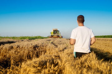 Naklejka na ściany i meble Farmer at wheat field checking online internet progress.