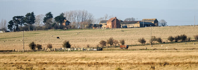 Fototapeta na wymiar View of a Farm on Harty Island in Kent