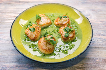 Gebratene Jakobsmuscheln auf Erbspüree