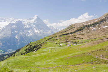Grindelwald, Berner Oberland, Waldspitz, Alm, First, Eiger, Eigernordwand, Alpen, Schweizer Berge, Wanderweg, Sommer, Schweiz
