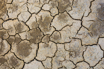 Dried earth because of rain dose not fall and the land lacked of water for agriculture