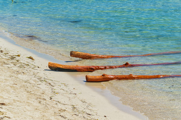 Fototapeta na wymiar Wooden Logs on the Beach