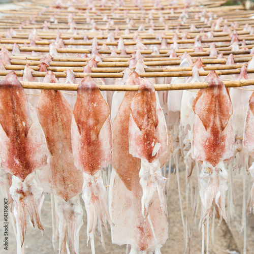 "Dried squid, traditional squids drying in the sun in a idyllic