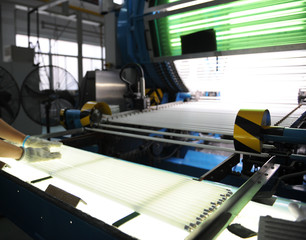 The energy efficient lightbulbs workshop