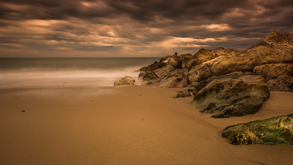 Sibling in a winters glow.