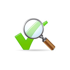 Color Icon - Magnifier check mark