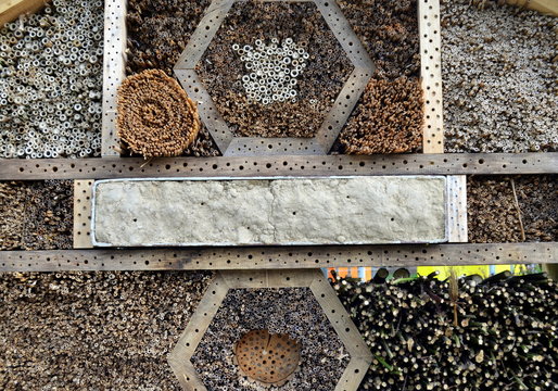  รูปภาพSchlupfloch – เลือกดูภาพถ่ายสต็อก เวกเตอร์ และวิดีโอ202 