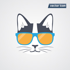 cat in sunglasses vector illustration