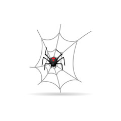 Color Icon - Spider