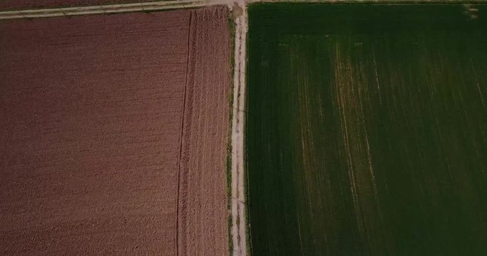 Natura e paesaggio: vista aerea di un campo, campo arato, coltivazione, prato verde, campagna, agricoltura, alberi