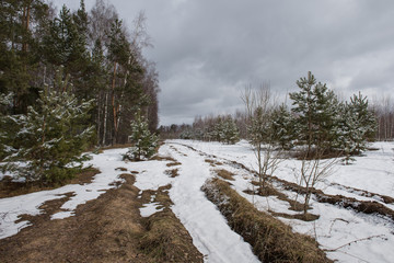 Early spring. The European part of Russia. The last snow.