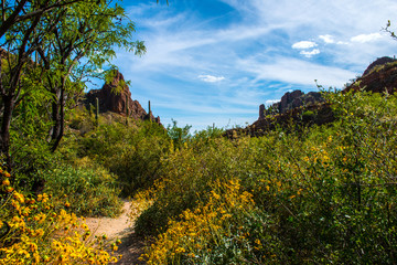 Catalina Mountain Range, Arizona
