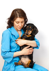 Veterinary doctor with dog breed dachshund on hands