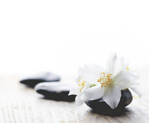 Obraz na płótnie Canvas Jasmine flower on spa stones
