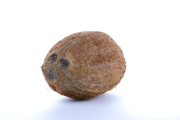 Coconut