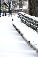 Snow covered benches in Central Park