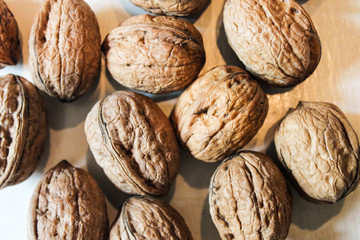 Walnut Background