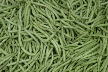 Фасоль стручковая