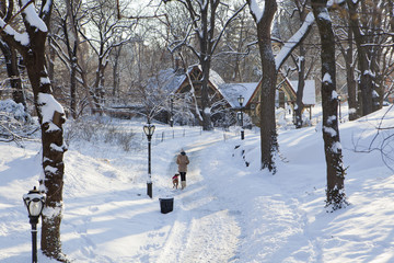 Central Park, New York. Beautiful park in beautiful city.