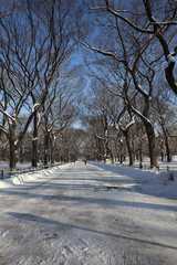 Central Park, New York. Beautiful park in beautiful city.