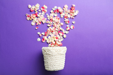 Rose petals and basket on a purple background