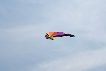 Rainbow Delta Kite Isolated on White with Clipping Path