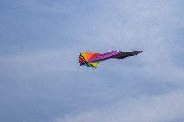 Rainbow Delta Kite Isolated on White with Clipping Path