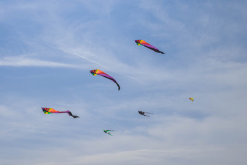 Rainbow Delta Kite Isolated on White with Clipping Path