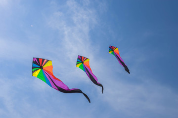 Rainbow Delta Kite Isolated on White with Clipping Path