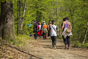 Group of people walking by hiking trail