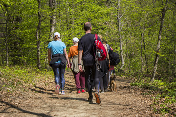 Group of people walking by hiking trail - obrazy, fototapety, plakaty