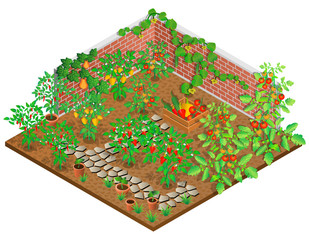 Vegetable garden in summer. Growing peppers, tomatoes, cucumbers and pumpkins.
3D isometric view. Vector illustration.