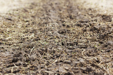 Traces of a heavy car on a wasteland in the spring.