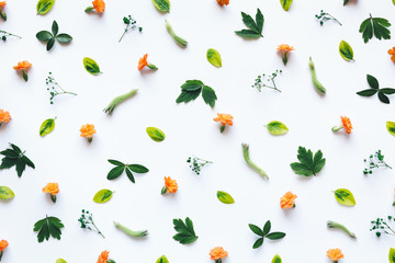 Floral Arrangement On White Background