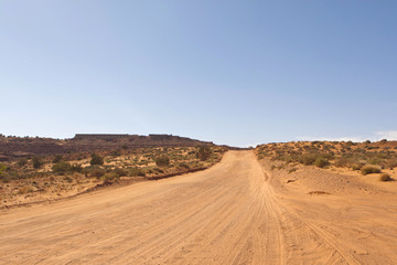 Fototapeta na wymiar Arizona desert. USA